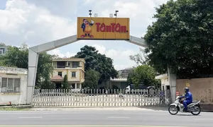 Vợ chồng cựu chủ tịch đậu phộng Tân Tân bị bắt giam