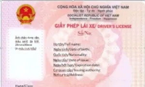 Giấy phép lái xe đổi sang màu hồng, thêm mã QR code Giấy phép lái xe đổi sang màu hồng, thêm mã QR code