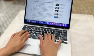 Sinh viên chủ động học AI để tìm việc Sinh viên chủ động học AI để tìm việc