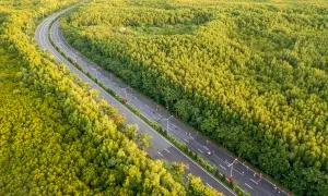 3.000 runner dự HDBank Green Marathon mùa thứ tư